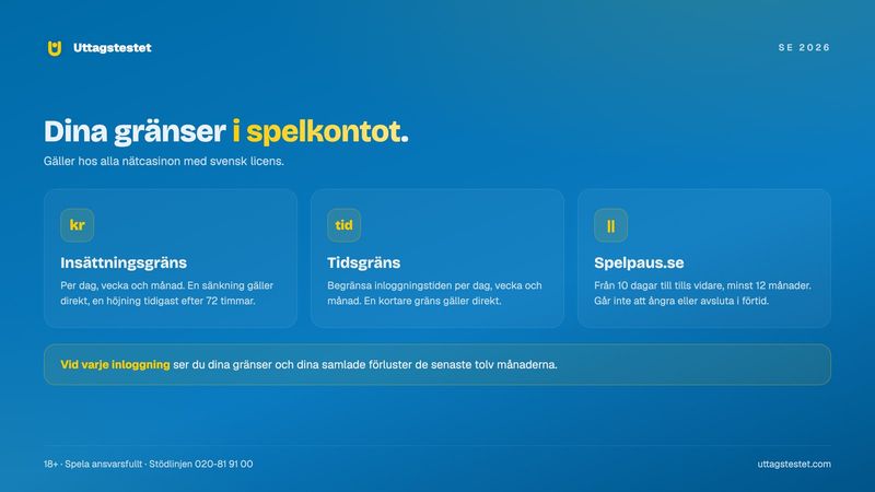 Insättningsgräns, tidsgräns och Spelpaus hos ett nätcasino med svensk licens